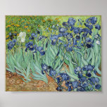 Irises by Van Gogh Poster<br><div class="desc">Van Gogh's Irises</div>