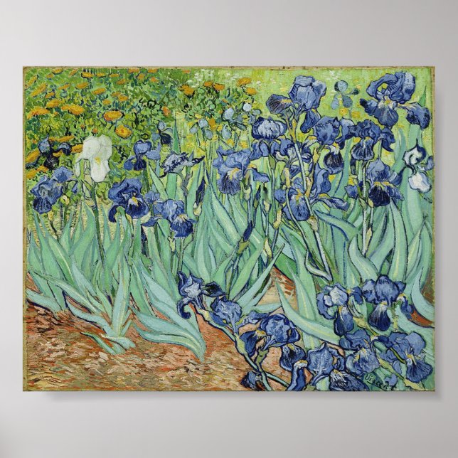 Irises by Van Gogh Poster (Front)