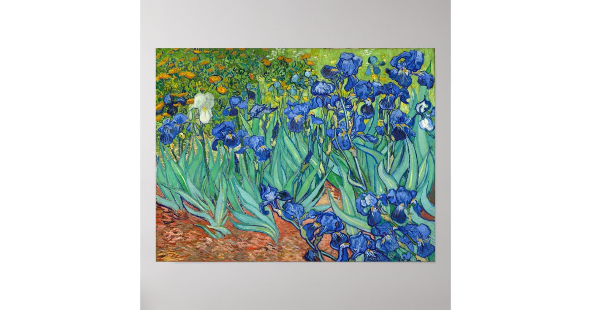 Irises by Van Gogh Poster | Zazzle