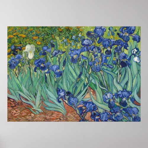 Irises by Van Gogh Poster Print