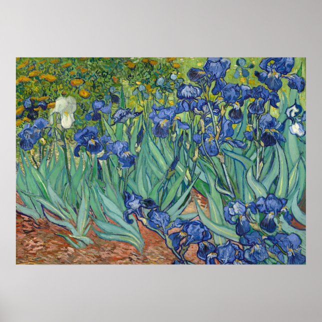 Irises by Van Gogh Poster Print (Front)