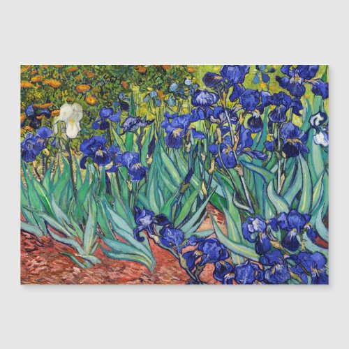 Irises by Vincent van Gogh