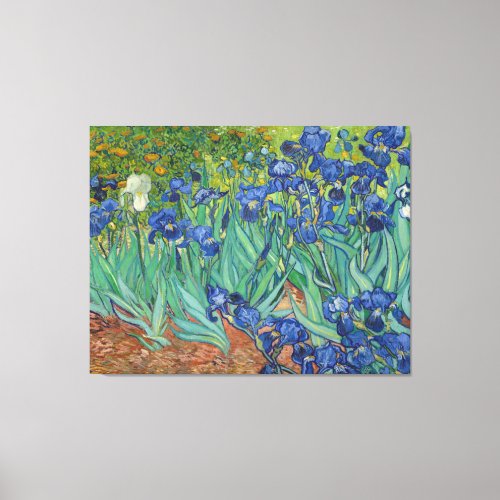Irises by Vincent Van Gogh 1889 Canvas Print