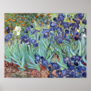 Irises by Vincent van Gogh 1898 Poster
