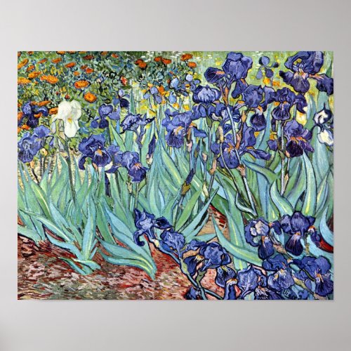 Irises by Vincent van Gogh 1898 Poster