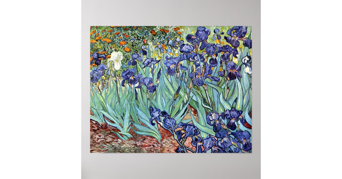 Irises by Vincent van Gogh 1898 Poster | Zazzle
