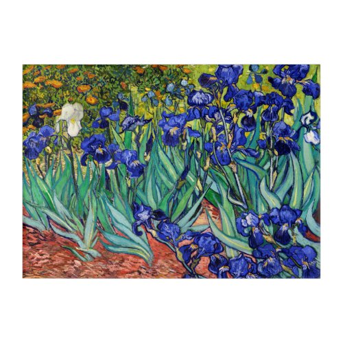 Irises by Vincent van Gogh Acrylic Print