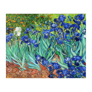 Irises By Vincent Van Gogh Acrylic Print