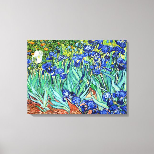 Irises By Vincent Van Gogh Canvas Print (Front)