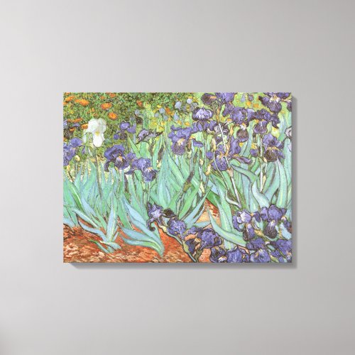 Irises by Vincent van Gogh Canvas Print