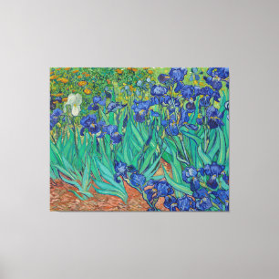 Irises by Vincent Van Gogh Canvas Print
