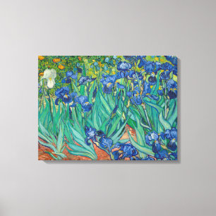 Irises by Vincent van Gogh Canvas Print