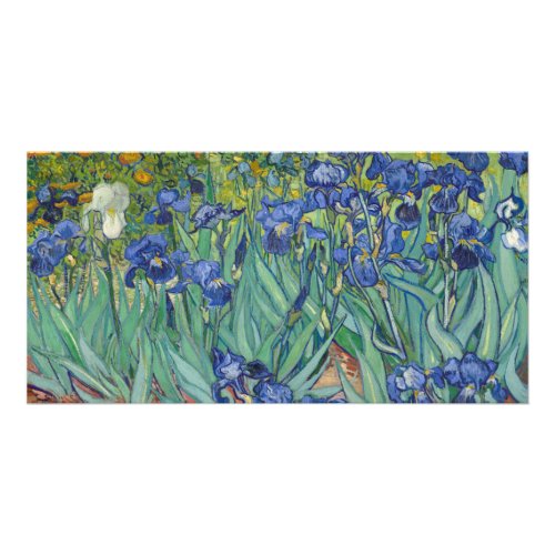 Irises by Vincent Van Gogh Card