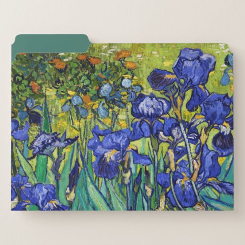 Irises by Vincent van Gogh File Folder