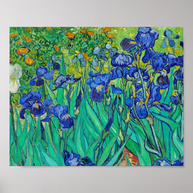 Irises by Vincent van Gogh Fine Art Poster (Front)
