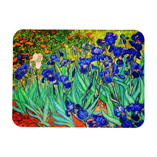 Irises by Vincent Van Gogh Magnet