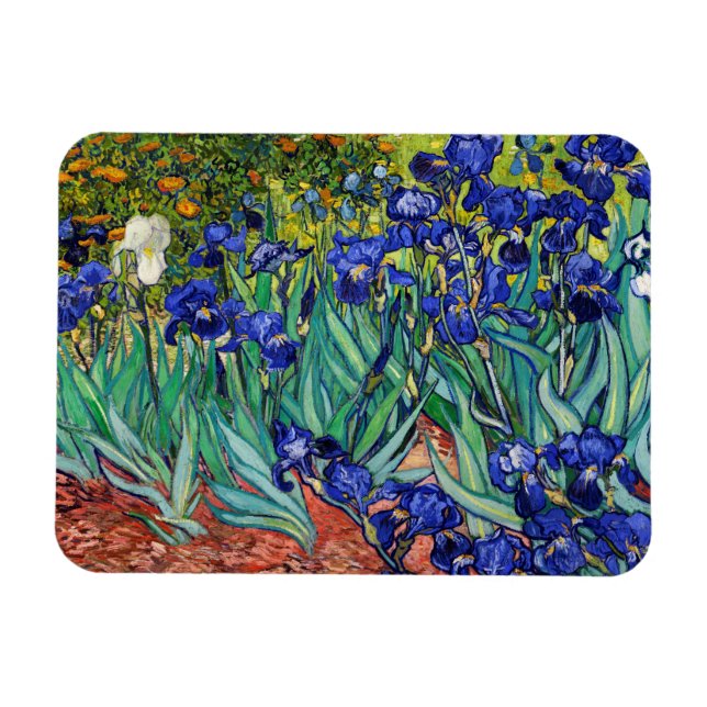 Irises by Vincent van Gogh Magnet (Horizontal)
