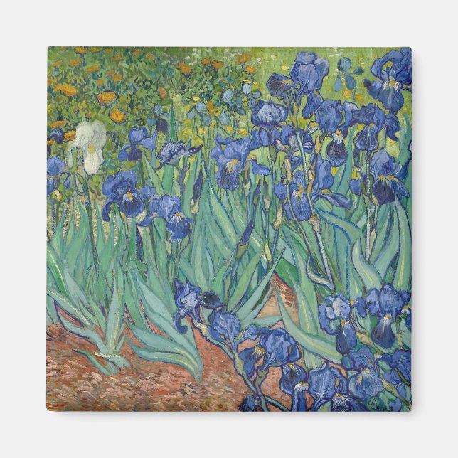 Irises by Vincent Van Gogh Magnet (Front)
