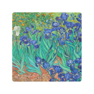 Irises by Vincent Van Gogh Metal Print