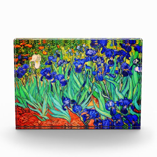 Irises by Vincent Van Gogh Photo Block