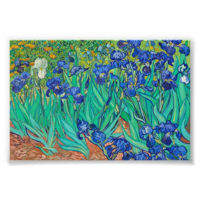 Irises by Vincent van Gogh Photo Print (Front)