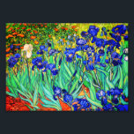 Irises by Vincent Van Gogh Photo Print<br><div class="desc">Vincent Van Gogh Irises . Painted in 1889 it is one of the painting he created in Saint Paul-de-Mausole asylum in Saint-Rémy-de-Provence in France. It is an oil painting. This fine art landscape oil painting depicts a field of iris flower plants. Vincent Van Gogh was a famous artist. He was...</div>