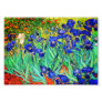 Irises by Vincent Van Gogh Photo Print