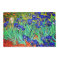 Irises by Vincent Van Gogh