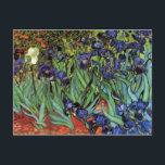 Irises by Vincent van Gogh Postcard<br><div class="desc">This painting titled, Irises is made by the famous artist, Vincent van Gogh. About Vincent van Gogh Vincent van Gogh saw color as the chief symbol of expression. There is a reason his art connects with the viewers, because van Gogh was determined to give happiness by creating beauty through his...</div>