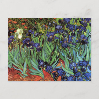 Irises by Vincent van Gogh Postcard