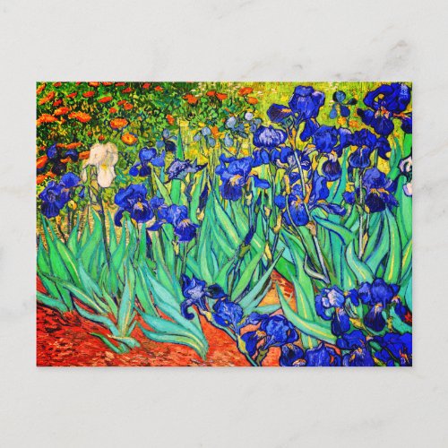 Irises by Vincent Van Gogh Postcard