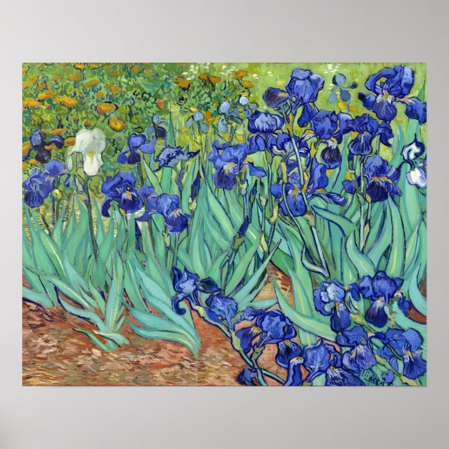 Irises by Vincent van gogh Poster (Front)