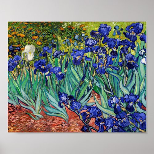 Irises by Vincent van Gogh Poster