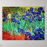 Irises by Vincent Van Gogh Poster<br><div class="desc">Vincent Van Gogh Irises . Painted in 1889 it is one of the painting he created in Saint Paul-de-Mausole asylum in Saint-Rémy-de-Provence in France. It is an oil painting. This fine art landscape oil painting depicts a field of iris flower plants. Vincent Van Gogh was a famous artist. He was...</div>