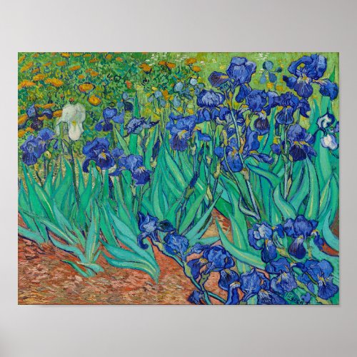 Irises by Vincent Van Gogh Poster
