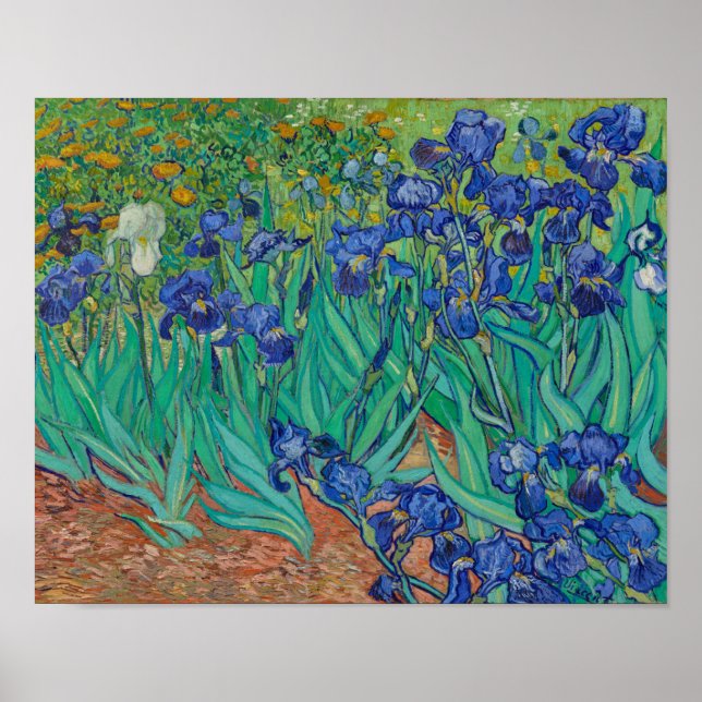 Irises by Vincent Van Gogh Poster (Front)