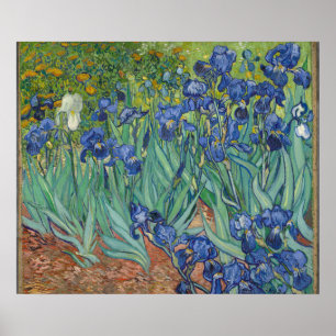 Irises by Vincent Van Gogh Poster