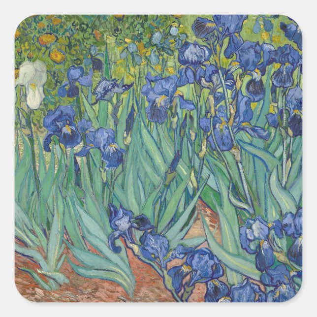 Irises by Vincent Van Gogh  Square Sticker (Front)