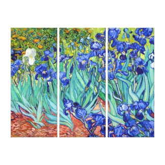 Irises by Vincent Van Gogh vibrant painting Canvas Print