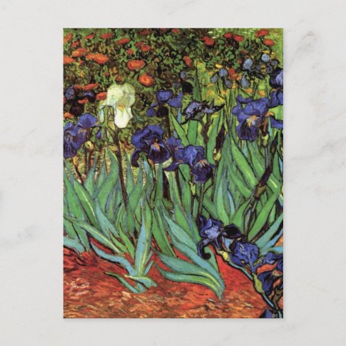 Irises by Vincent van Gogh Vintage Garden Art Postcard