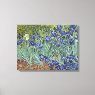 Irises Canvas Print