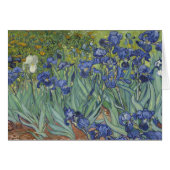 Irises Cards (Front Horizontal)