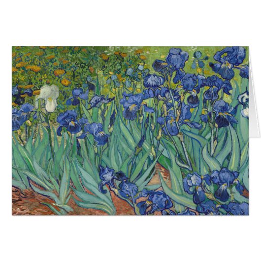 Irises Cards (Front Horizontal)