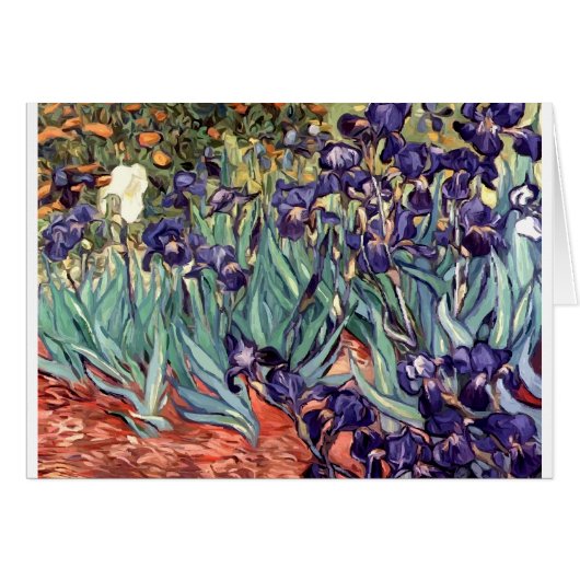 Irises Cards (Front Horizontal)
