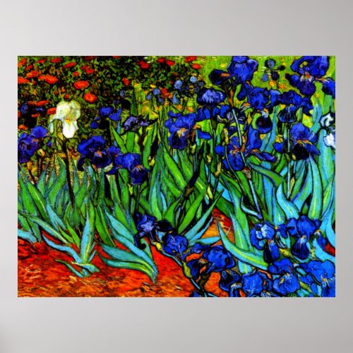 Irises famous artwork by Van Gogh Poster