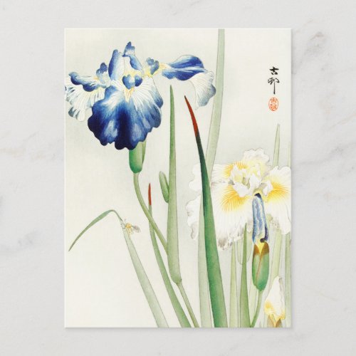 Irises Floral Flower Painting by Ohara Koson Postcard