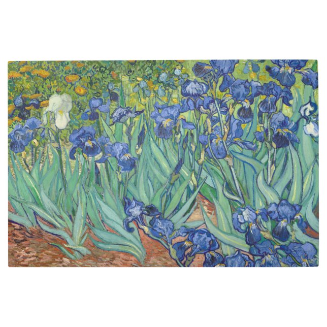 Irises, Floral Oil Painting, Vincent Van Gogh Metal Print (Front)