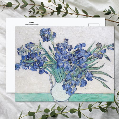 Irises Floral Vincent van Gogh Postcard