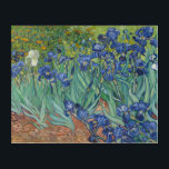 Irises Flowers Van Gogh Floral Vintage Painting Acrylic Print<br><div class="desc">Unique, water-resistant, easy to clean, room home decor, full HD color printed acrylic wall art print, featuring a beautiful colorful intricate detailed vintage oil on canvas painting, by Vincent van Gogh, of irises and seasonal flowers in a garden. Beautiful artwork for flowers / floral / nature / vintage art lovers...</div>