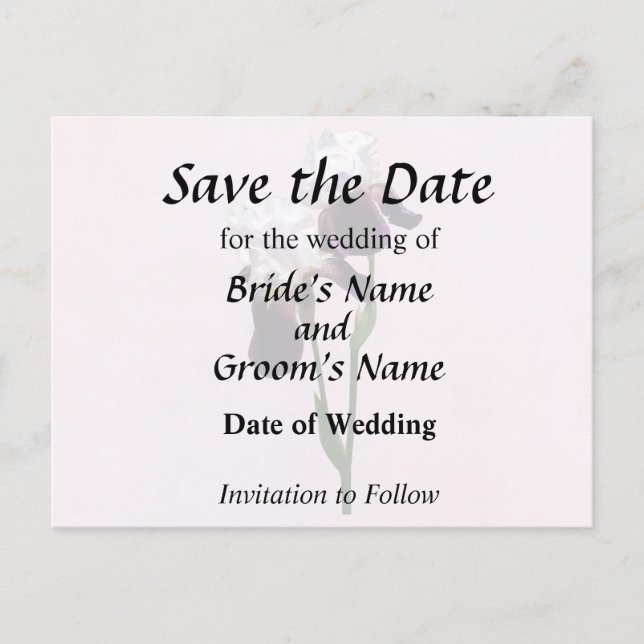 Irises in Love Announcement Postcard (Front)